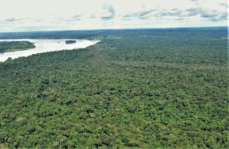 Capa_ACT entre SFB e Censipam vai desenvolver tecnologia de monitoramento nas concessoes florestais.jpg