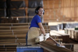 Foto: Serviço Florestal Brasileiro.