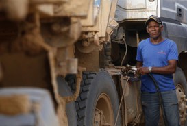 Foto: Serviço Florestal Brasileiro.