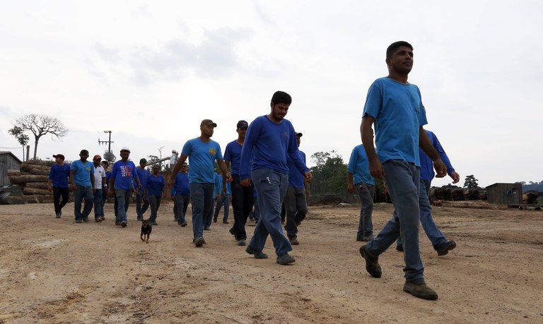 Capa_Concessao florestal protege as florestas e gera emprego local.jpg