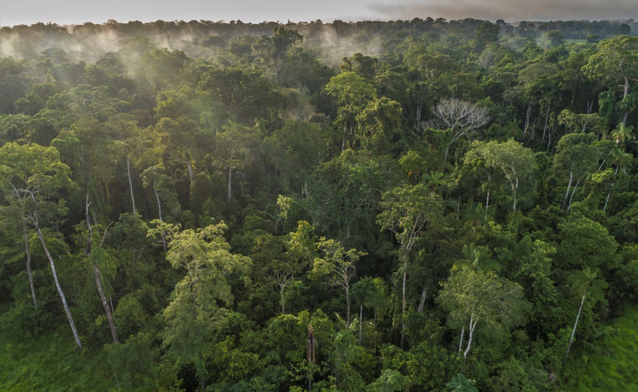 Capa_Conselho do PPI propoe a qualificaçao de concessao florestal de tres florestas publicas federais.jpg