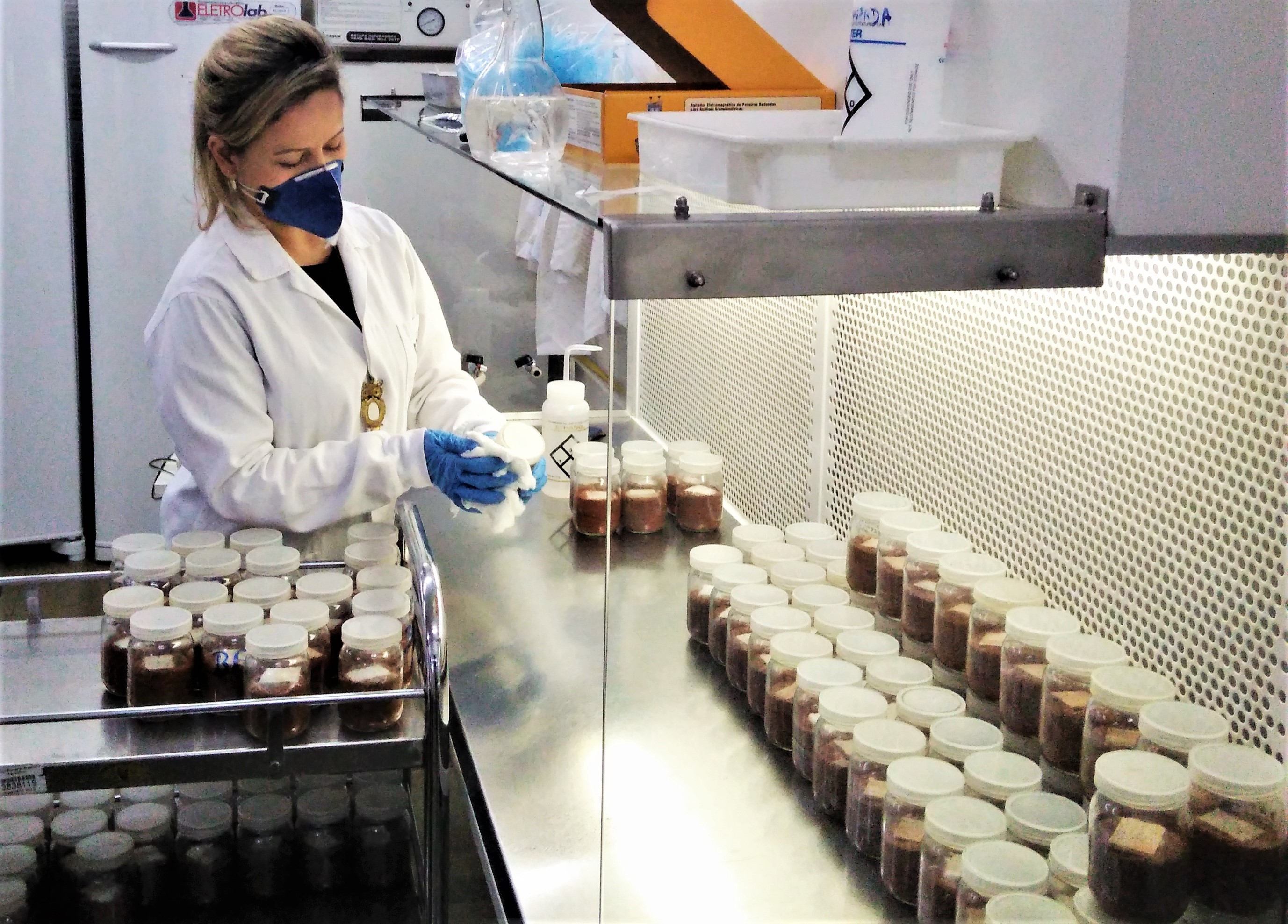 Capa_LPF e Universidade de Goias assinam ACT para aprofundar pesquisas sobre fungos xilofagos.jpg