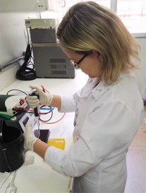 Foto: Serviço Florestal Brasileiro.