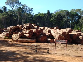Foto: Serviço Florestal Brasileiro.