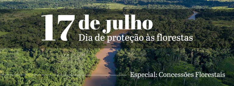 Capa_O manejo florestal sustentavel protege as florestas.jpg