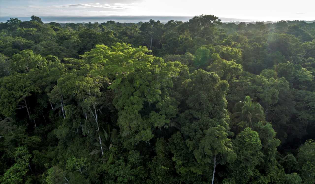 Capa_Portaria interministerial destina areas de dominio da Uniao a concessao florestal.jpg