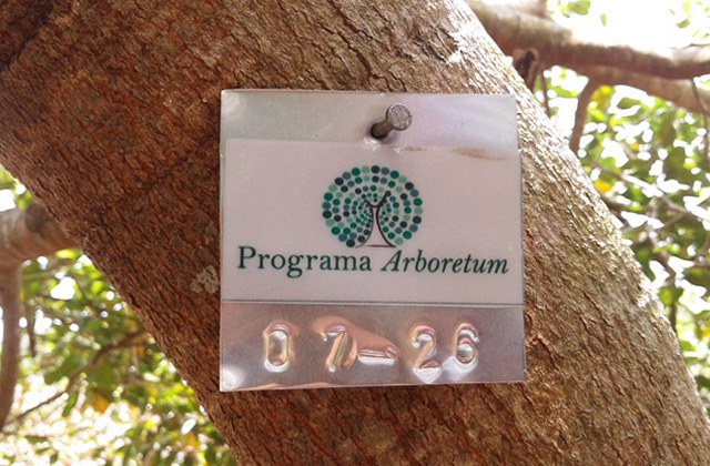 Capa_Programa Arboretum divulga Relatorio Tecnico-Executivo 2019.jpg