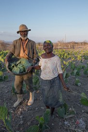 Foto: Serviço Florestal Brasileiro.
