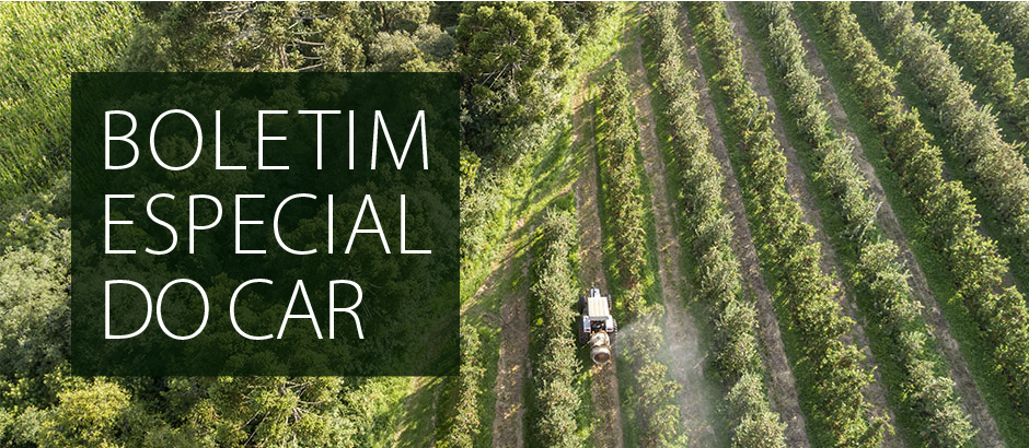 Capa_SFB publica Edicao Especial do Boletim do CAR com informacoes por Biomas.jpg