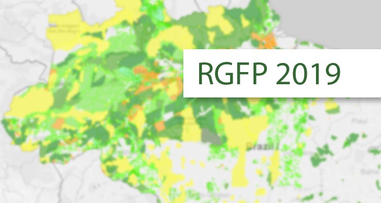 Capa_SFB publica Relatorio de Gestao de Florestas Publicas.jpg