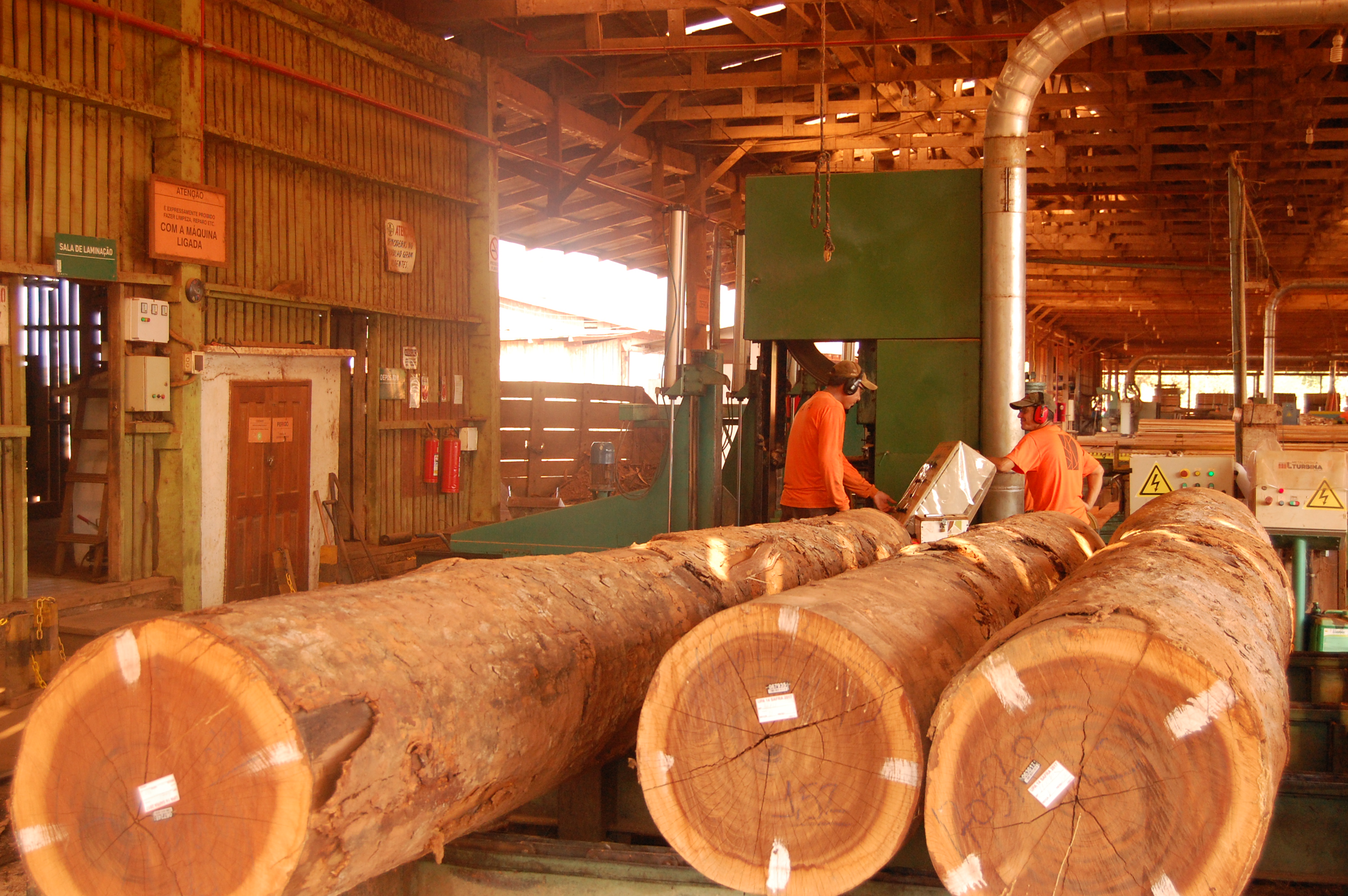 Capa_SFB tera consultoria sobre o aproveitamento de residuos florestais das concessoes.jpg
