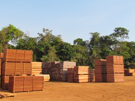 Foto: Serviço Florestal Brasileiro.