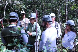 Foto: Serviço Florestal Brasileiro.