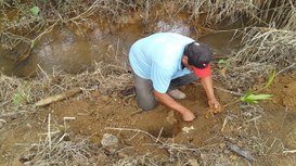 Foto: Serviço Florestal Brasileiro.