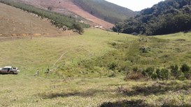Foto: Serviço Florestal Brasileiro.