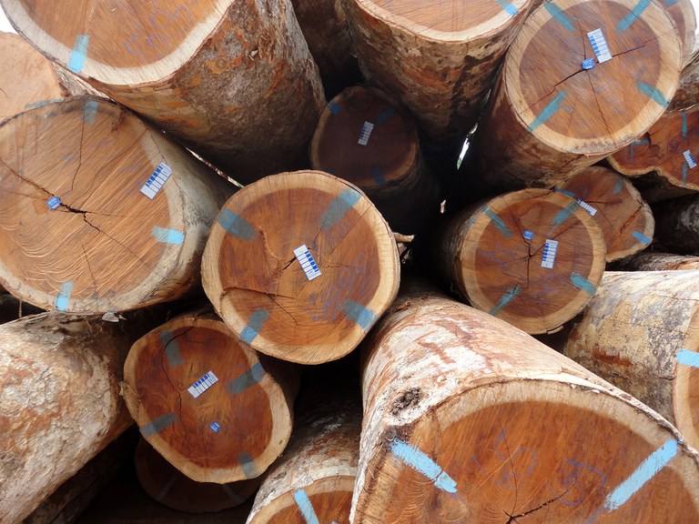 Capa_FNDF vai apoiar municipios para a execucao de recursos oriundos da concessão florestal.jpg