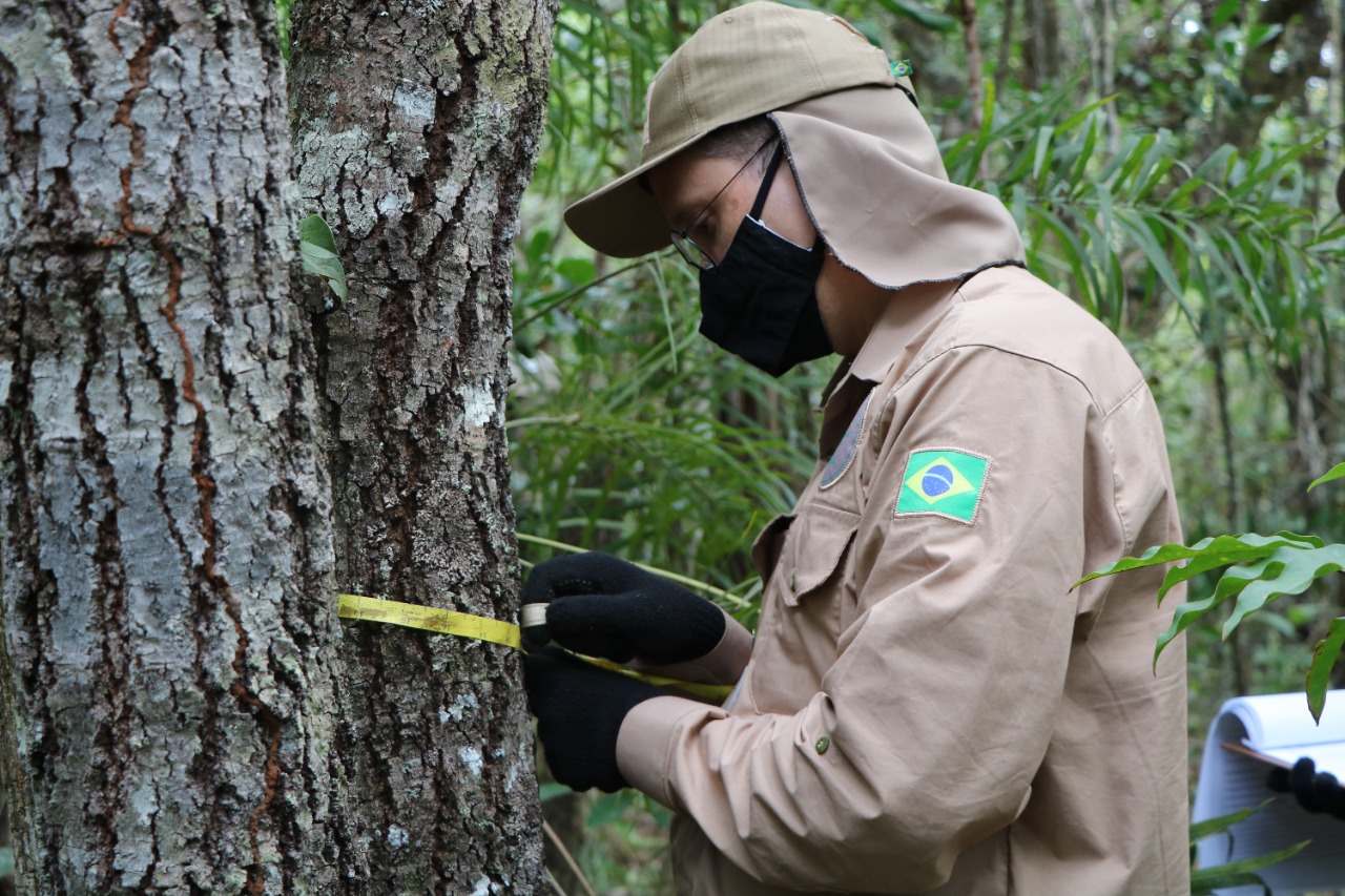Capa_2022_02_14_Servico Florestal Brasileiro capacita novos instrutores do Inventario Florestal Nacional.jpg