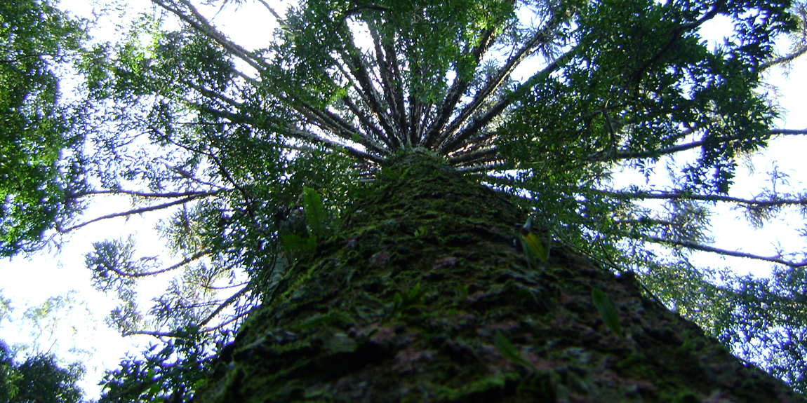 01.04 - capa foto matéria.png