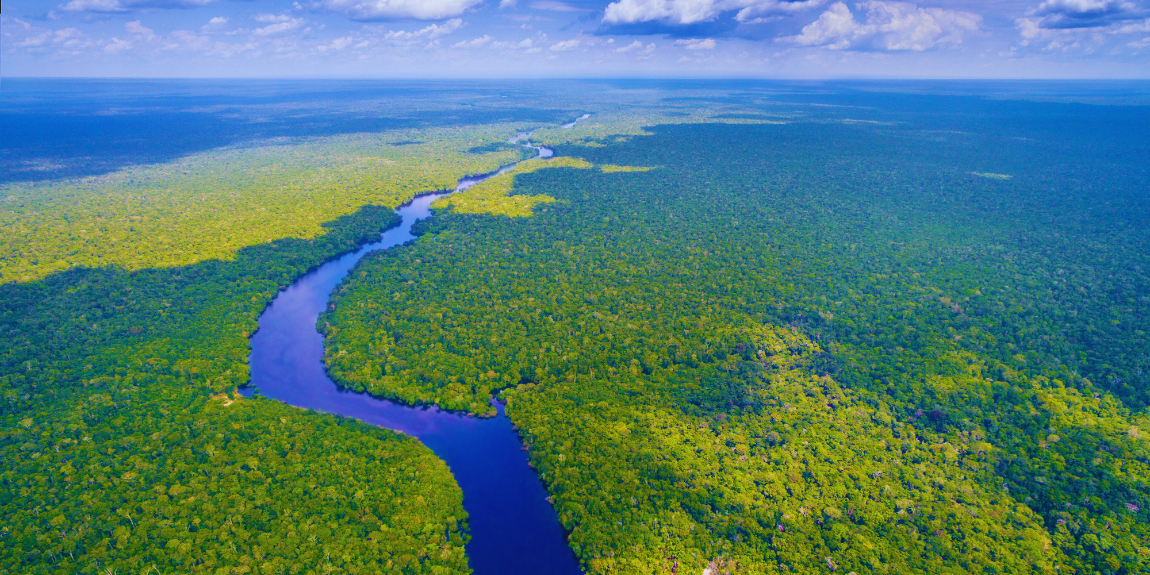 Amazonia 2.png