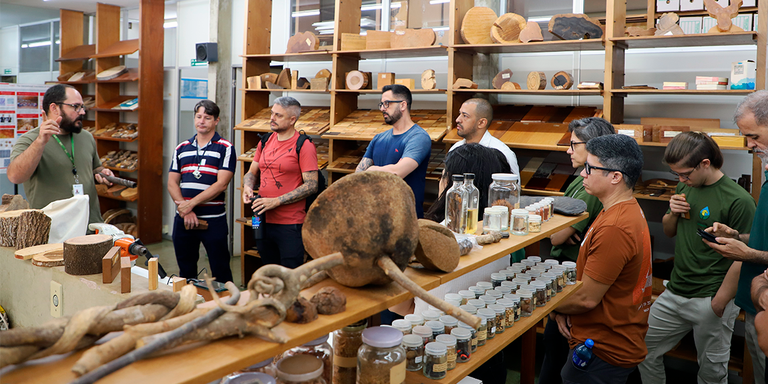 06.06 - foto para a matéria.png