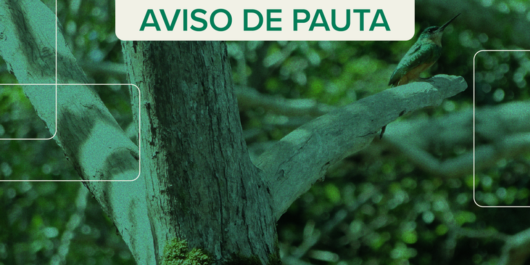 aviso de pauta_Prancheta 1.png