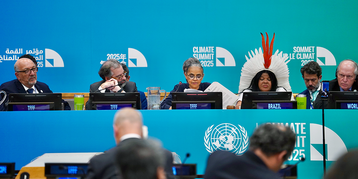 Foto: Fernando Donasci/MMA.