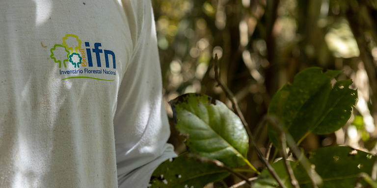 02.09 - capa para matéria.png