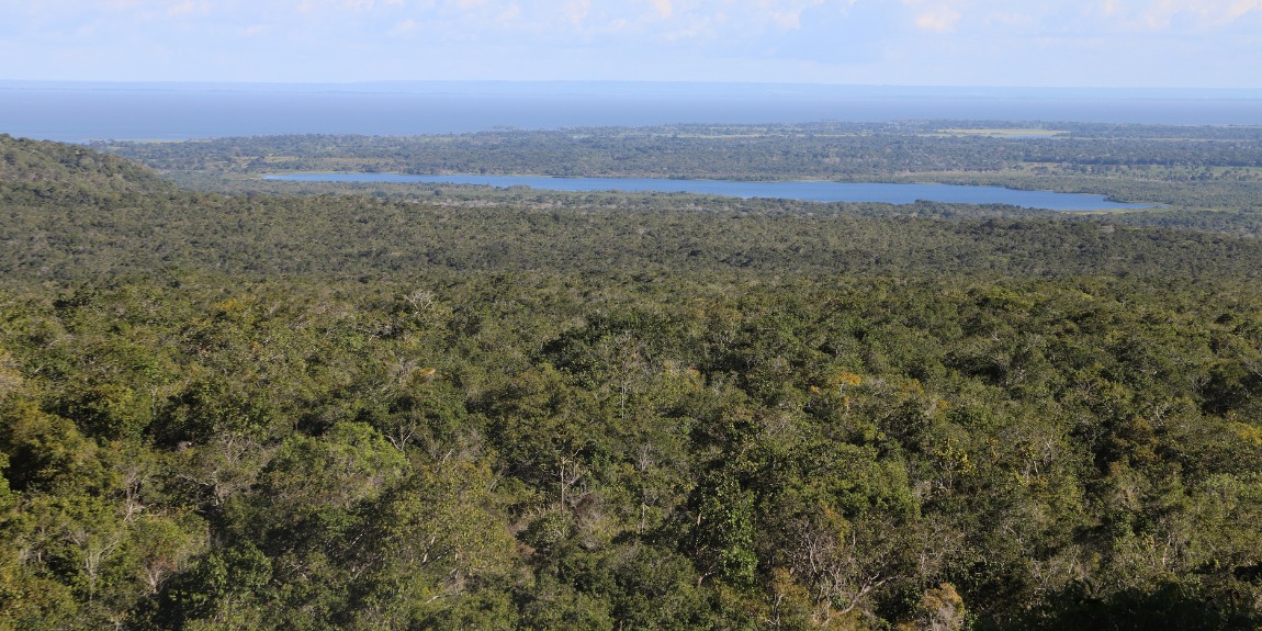 Vista panorâmica de floresta densa, lago ao fundo e horizonte com céu parcialmente nublado.