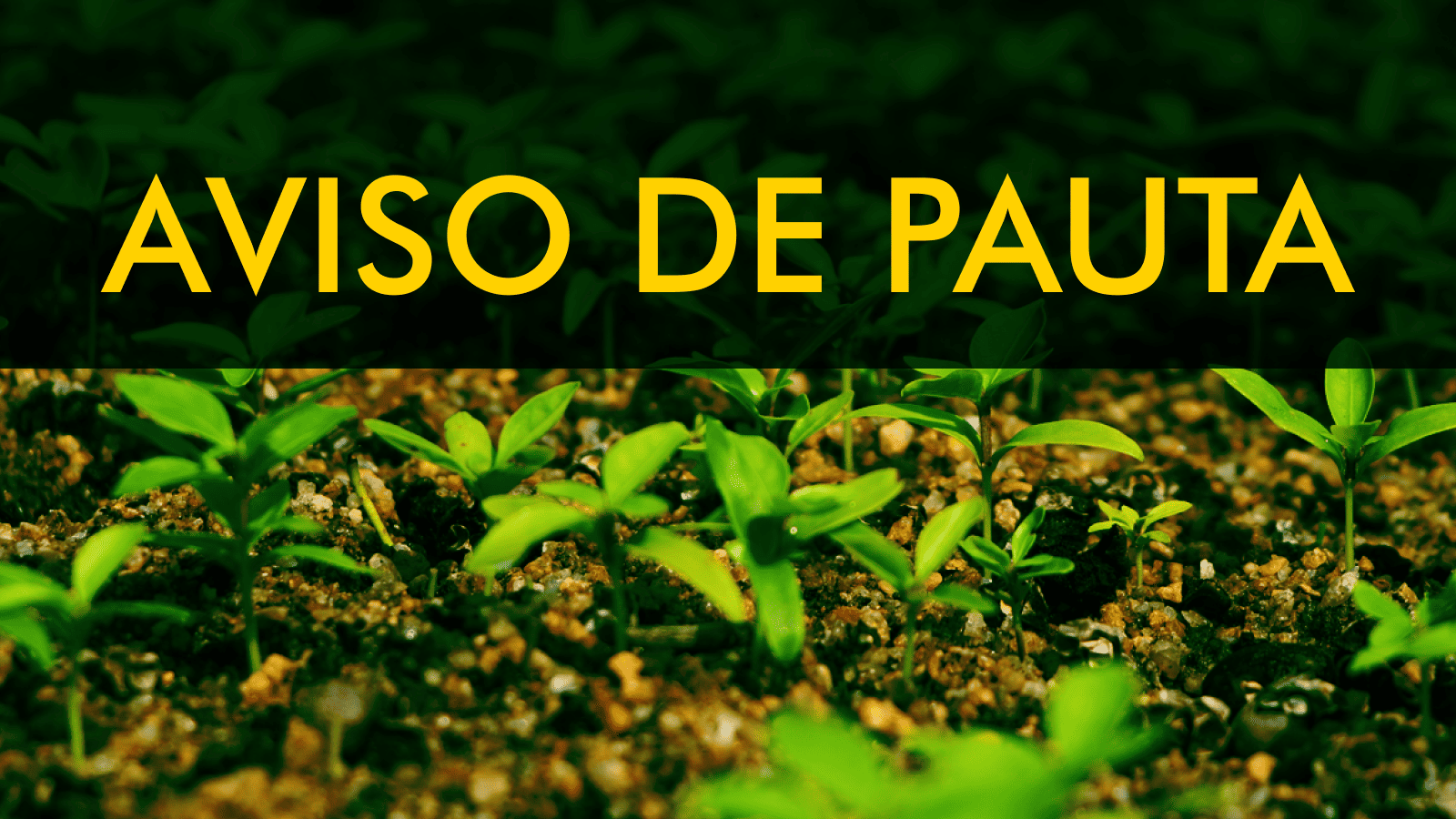 BANNER SITE AVISO DE PAUTA.png