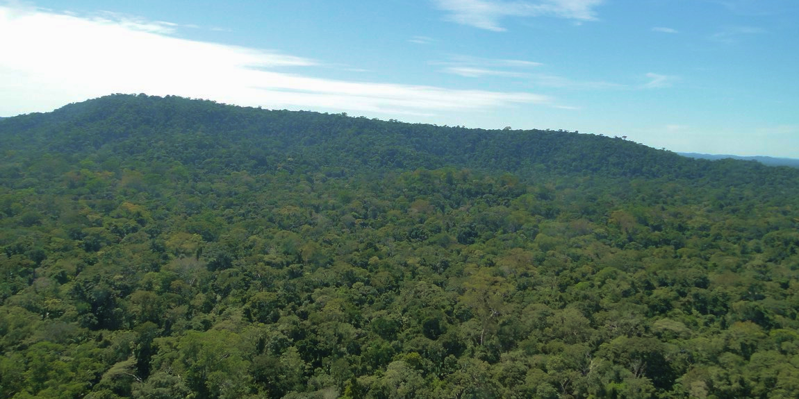 Vista aérea da Floresta Nacional do Bom Futuro, em Rondônia, com vegetação nativa cobrindo morros sob céu azul parcialmente nublado.