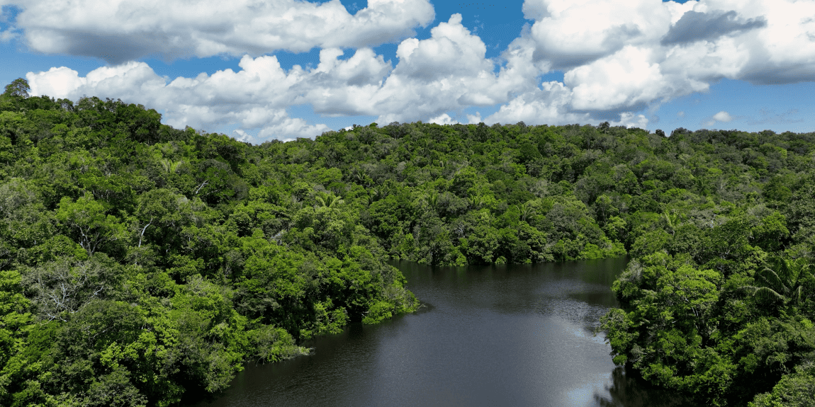 A imagem mostra uma paisagem tropical exuberante com um rio serpenteando por entre uma densa vegetação verde. Ao fundo, o céu azul com nuvens brancas completa a cena.
