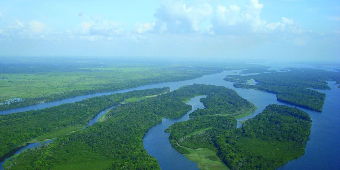 Imagem aérea de uma extensa paisagem florestal cortada por um sistema de rios sinuosos. Em destaque, um grande curso d’água de tonalidade azul-escura serpenteia pela vegetação, formando ilhas e canais que se entrelaçam ao longo da área. As margens são cobertas por floresta densa e áreas úmidas de diferentes tons de verde. Ao fundo, a vegetação se estende até o horizonte, criando uma sensação de imensidão. Acima da paisagem, o céu azul-claro ocupa grande parte da cena e é marcado por nuvens brancas e volumosas, compondo um cenário natural amplo e preservado.