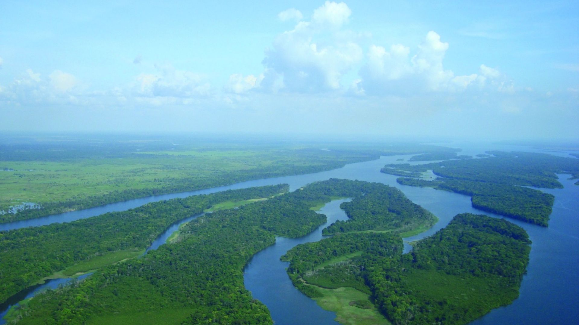 Imagem aérea de uma extensa paisagem florestal cortada por um sistema de rios sinuosos. Em destaque, um grande curso d’água de tonalidade azul-escura serpenteia pela vegetação, formando ilhas e canais que se entrelaçam ao longo da área. As margens são cobertas por floresta densa e áreas úmidas de diferentes tons de verde. Ao fundo, a vegetação se estende até o horizonte, criando uma sensação de imensidão. Acima da paisagem, o céu azul-claro ocupa grande parte da cena e é marcado por nuvens brancas e volumosas, compondo um cenário natural amplo e preservado.