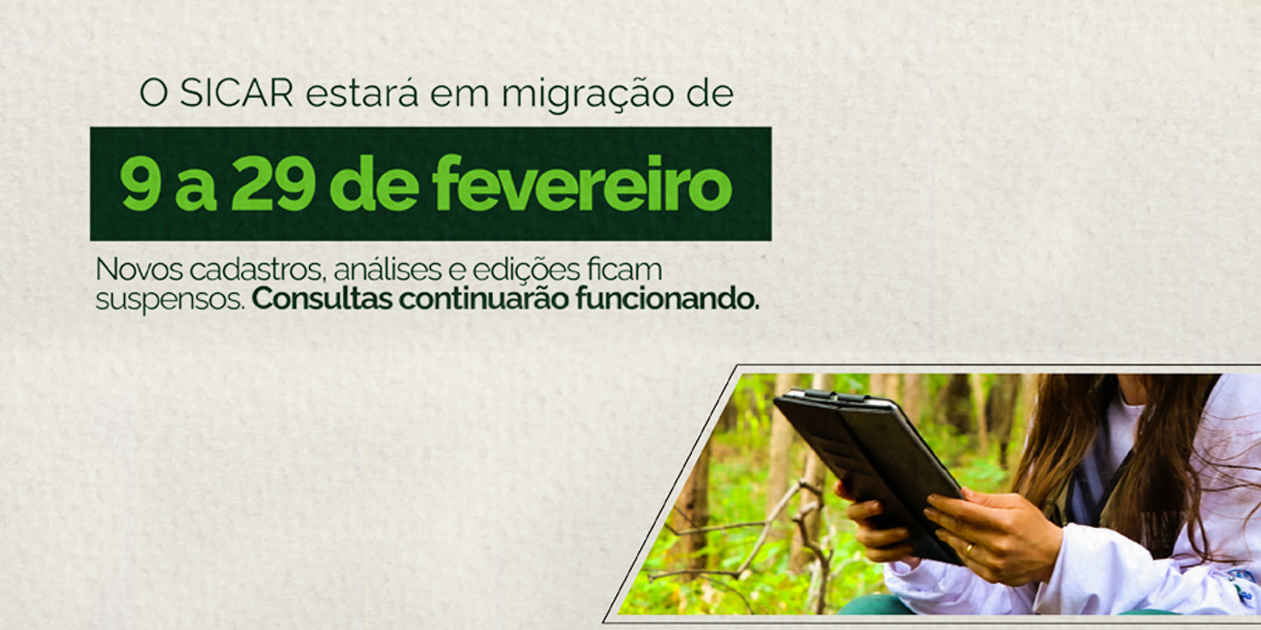 Foto banner 1.jpg