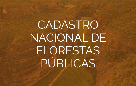 modelo_banners pequens.png