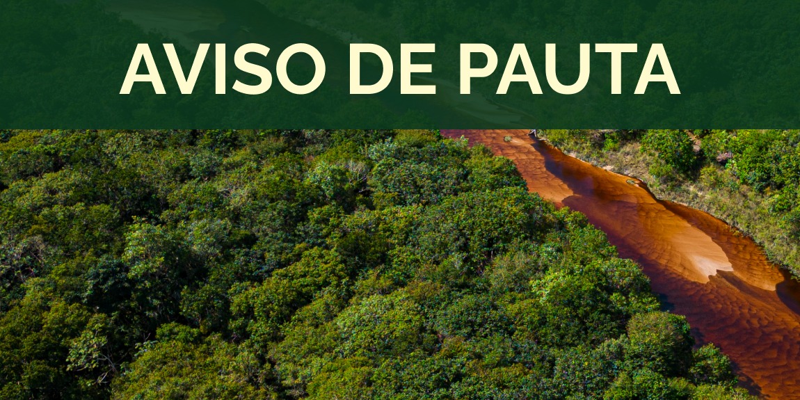 Mostra “O Brasil das Florestas” apresenta ao público a trajetória de 20 anos do SFB na gestão das florestas públicas e na promoção do manejo sustentável no País