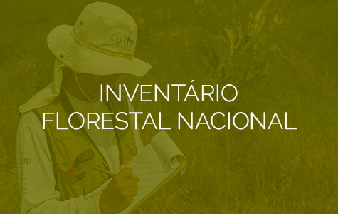 modelo_banners IFN.png