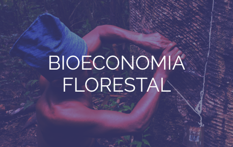 banners pequenos bioeconomia.png