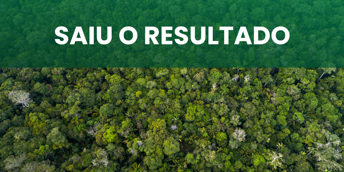 Divulgados os ganhadores do IX Prêmio de Economia e Mercado Florestal