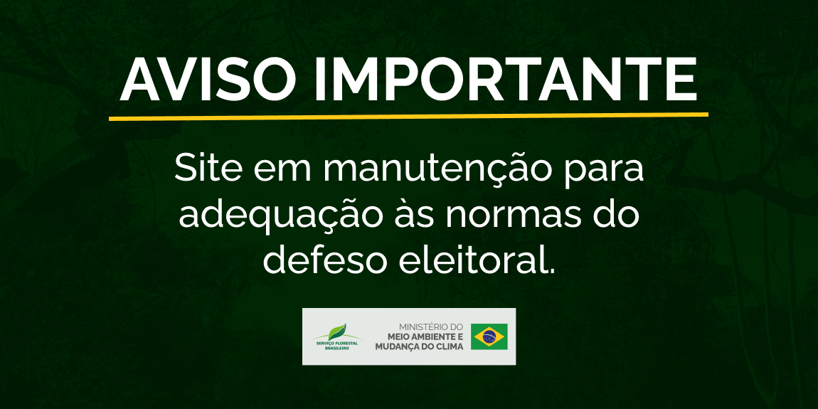 Arte com os dizeres "Site em manutenção para adequação ao período de defeso eleitoral'.
