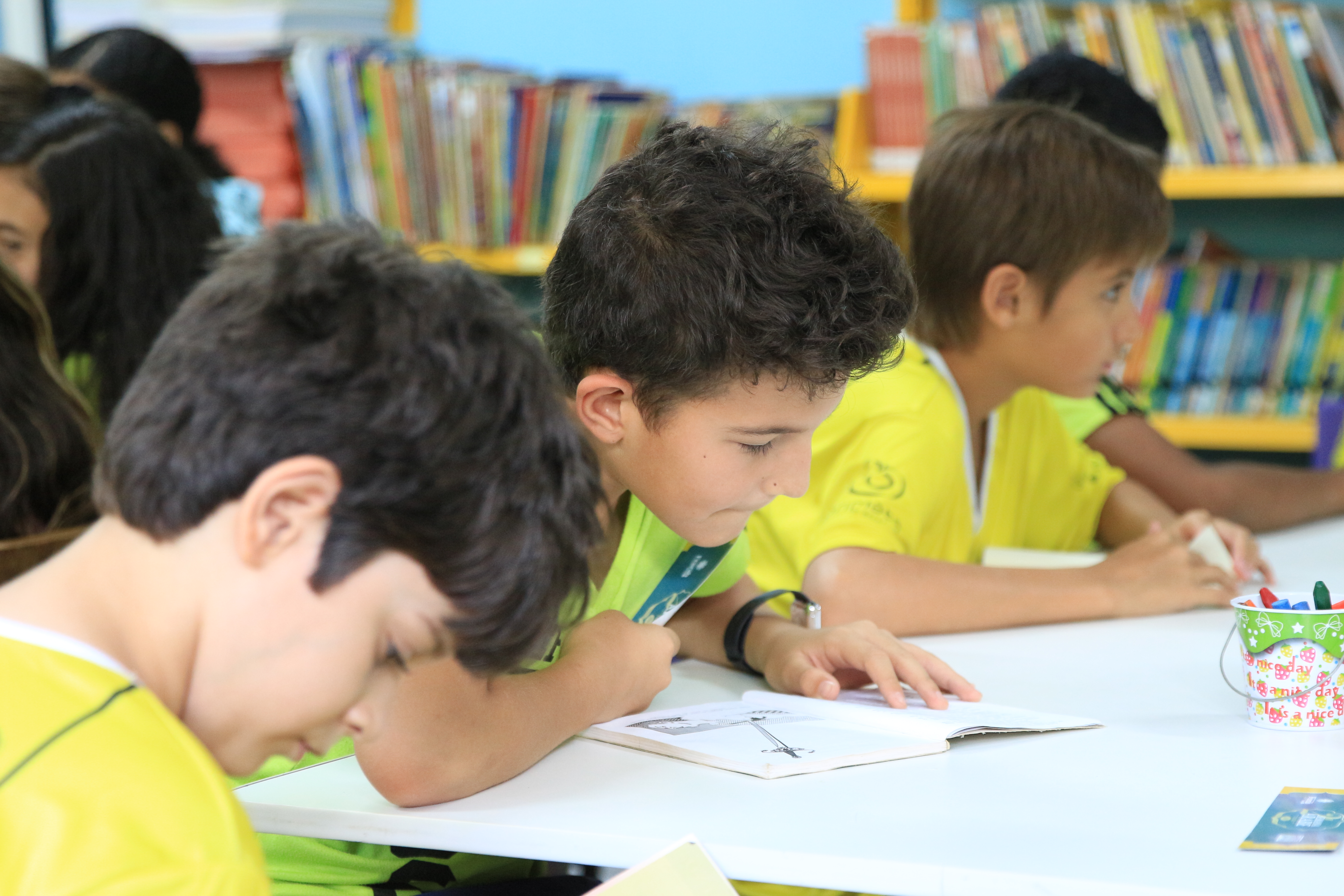 Programa Nacional do Livro e do Material Didático - PNLD