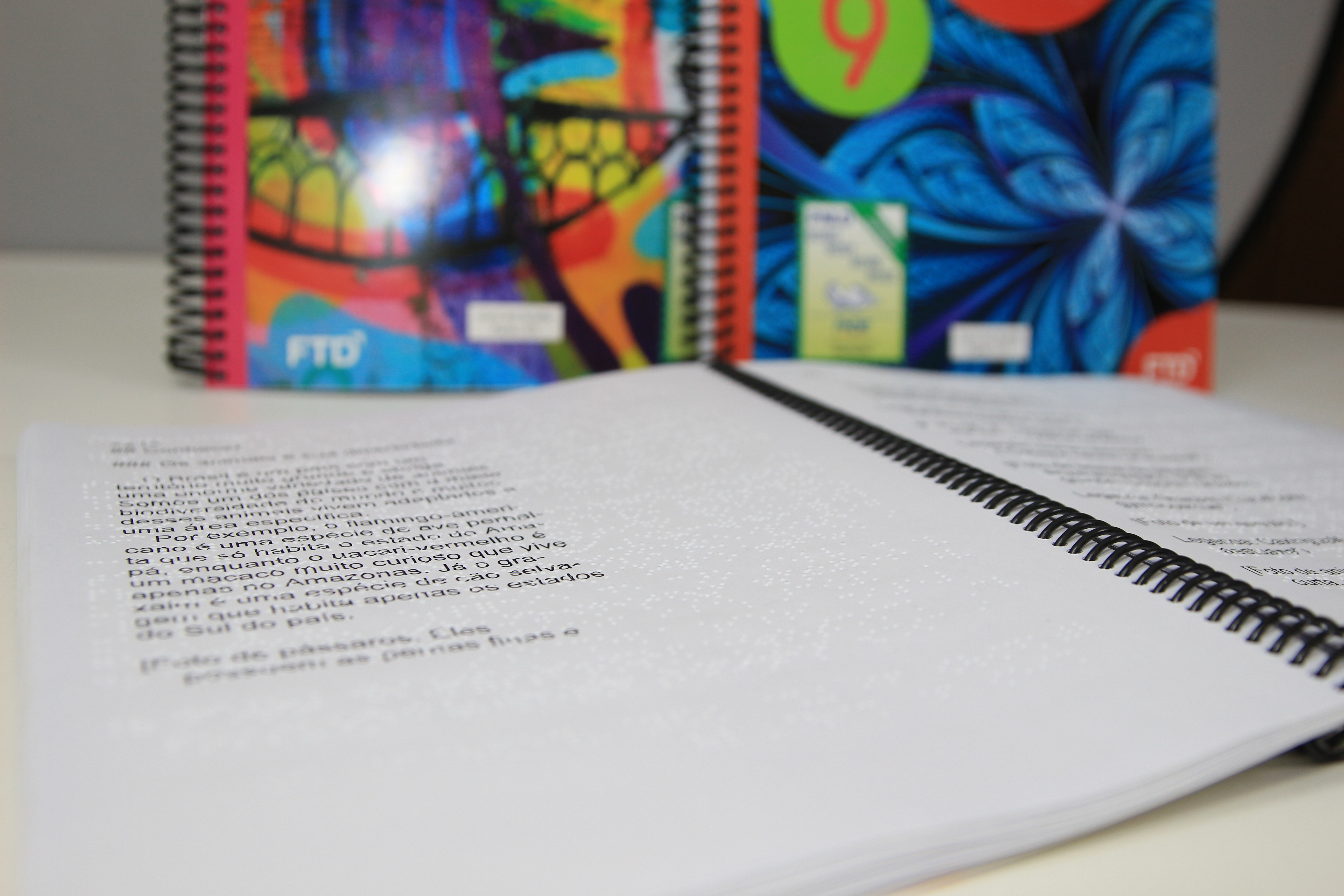 PNLD - reposição (PNLD 2023 e  24) - braille