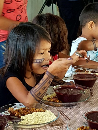 alimentação
