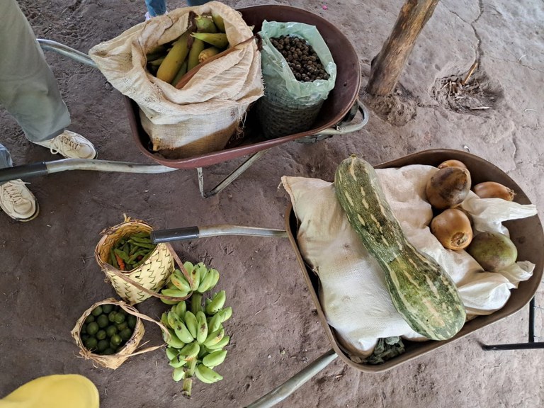 Imagem do WhatsApp de 2024-02-06 à(s) 16.13.59_2b6199b5.jpg