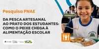 Da pesca artesanal ao prato dos estudantes: como o peixe chega à alimentação escolar