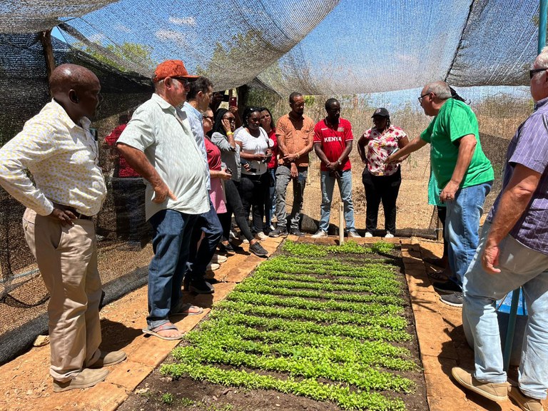 Imagem do WhatsApp de 2024-11-29 à(s) 15.41.53_5714ef54.jpg