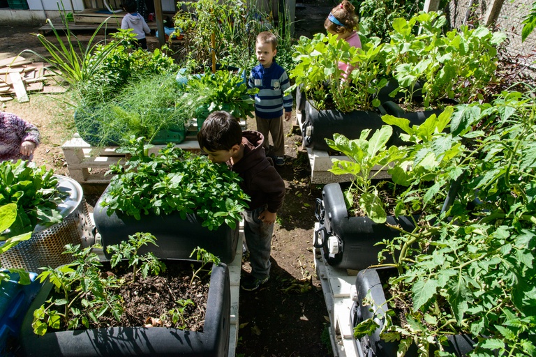 GuiaEBN_Pica Pau Novo Hamburgo_horta_autor.JoelReichert.jpg