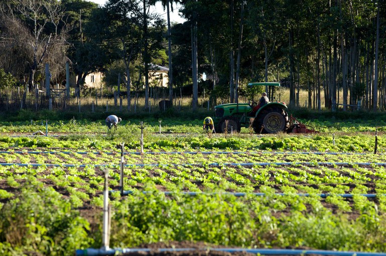 WhatsApp Image 2025-06-03 at 12.18.15.jpeg