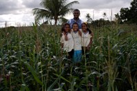 Quinta edição do Informe Agricultura Familiar e PNAE aborda a compra de produtos orgânicos da agricultura familiar