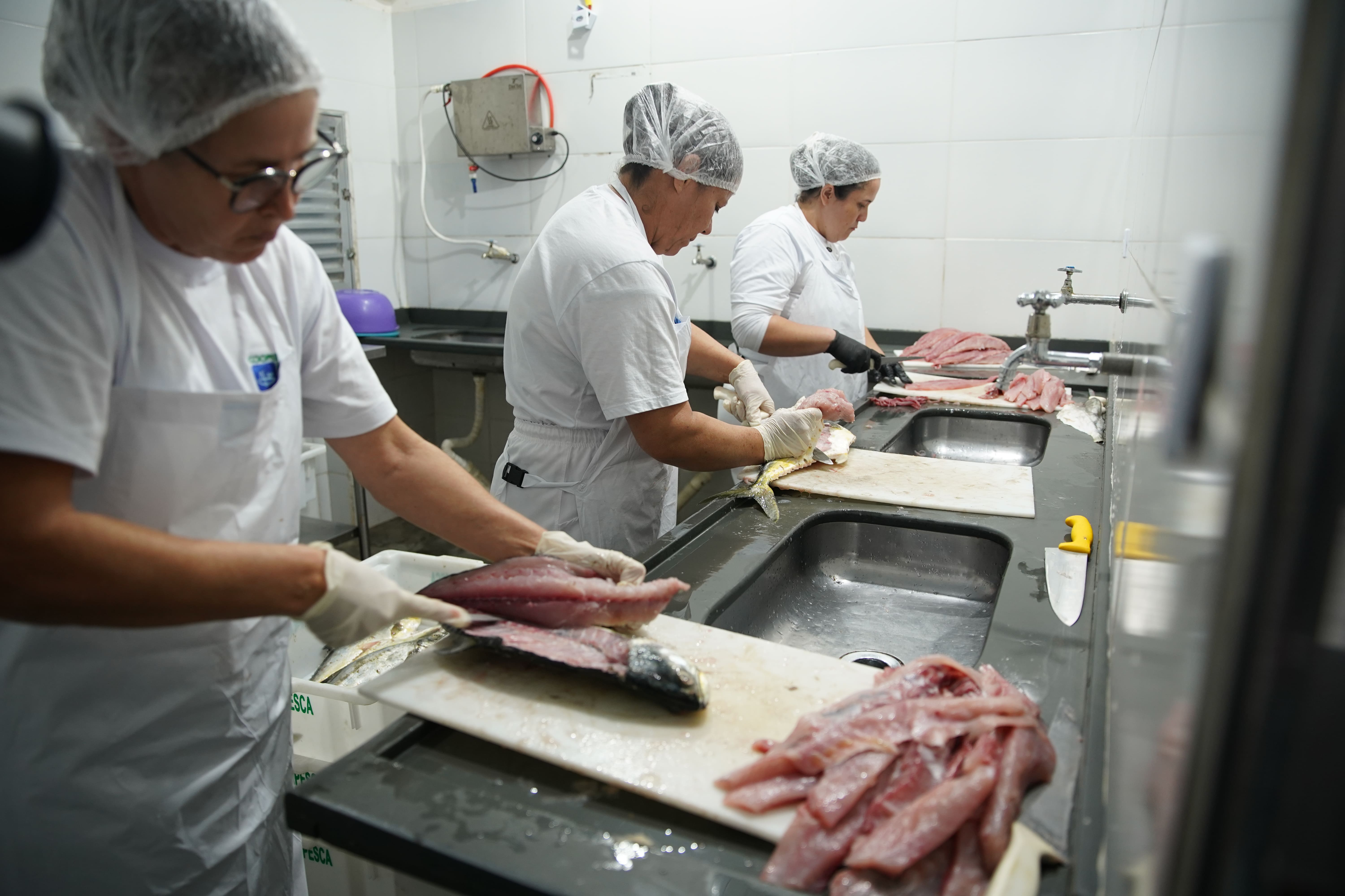 Como o peixe chega à escola: as etapas da cadeia do pescado
